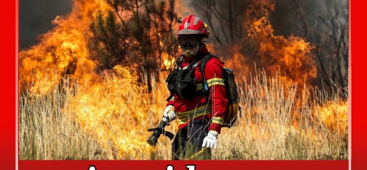 Homem constituído arguido por incêndio florestal em Castelo Branco