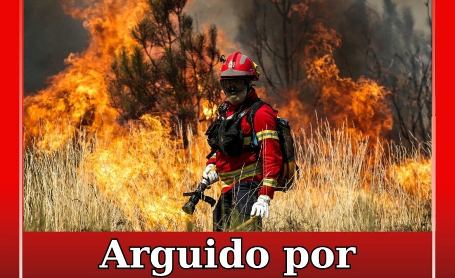 Homem constituído arguido por incêndio florestal em Castelo Branco