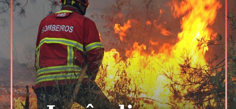 Incêndio agrícola em Monforte da Beira