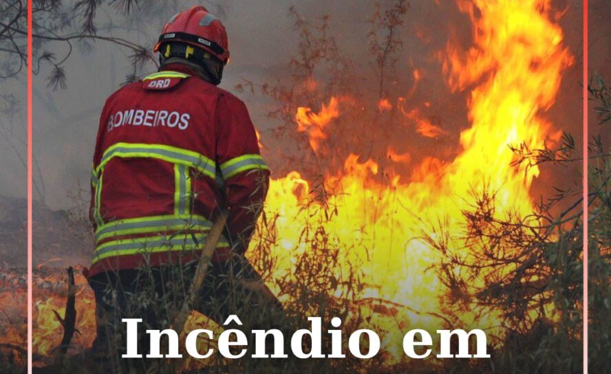 Incêndio agrícola em Monforte da Beira