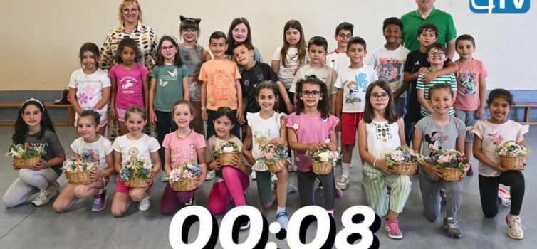 Marchas Populares Cidade da Covilhã 2026
