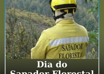 O Dia Nacional do Sapador Florestal celebra-se esta quinta-feira, 21 de maio
