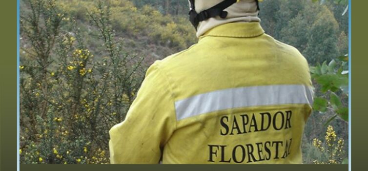 O Dia Nacional do Sapador Florestal celebra-se esta quinta-feira, 21 de maio