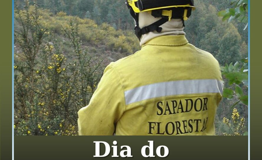 O Dia Nacional do Sapador Florestal celebra-se esta quinta-feira, 21 de maio
