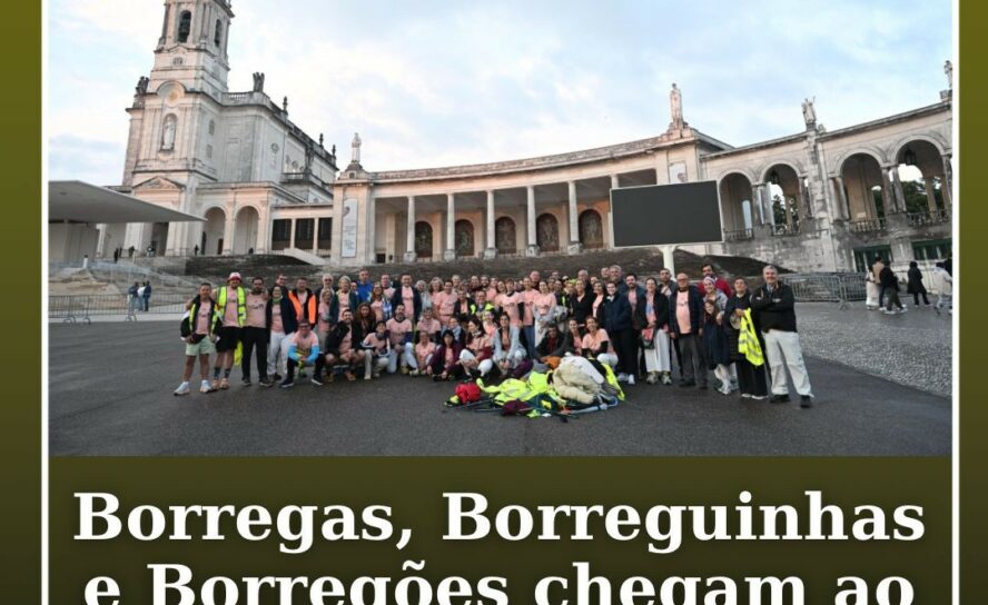 O Grupo Borregas, Borreguinhas e Borregões já chegou ao Santuário de Fátima.