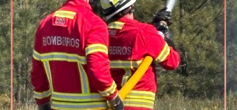 O alerta para o incêndio em Alpedrinha, Fundão, foi dado cerca das 14h42.