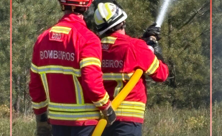 O alerta para o incêndio em Alpedrinha, Fundão, foi dado cerca das 14h42.