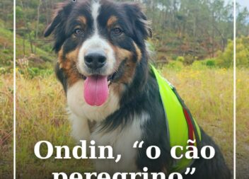 Ondin voltou a fazer-se à estrada rumo ao Santuário de Fátima