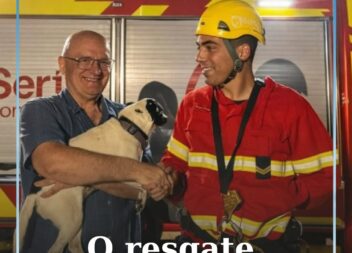 Os Bombeiros da Sertã foram chamados a Pedrógão Pequeno para uma missão muito es