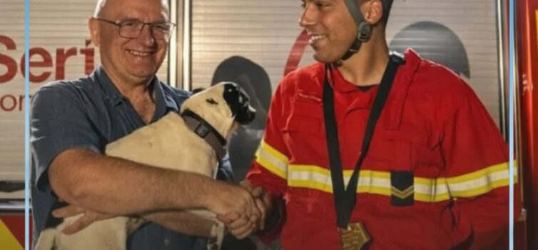 Os Bombeiros da Sertã foram chamados a Pedrógão Pequeno para uma missão muito es