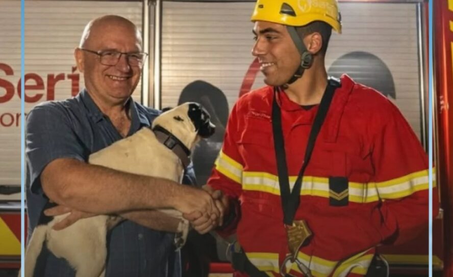 Os Bombeiros da Sertã foram chamados a Pedrógão Pequeno para uma missão muito es