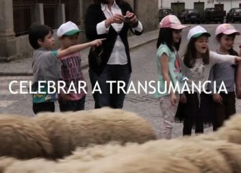 Participe na Grande Rota da Transumância dia 8 de maio