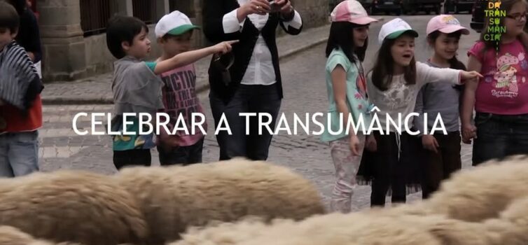 Participe na Grande Rota da Transumância dia 8 de maio