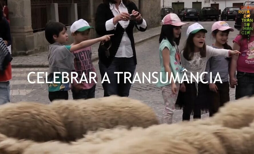Participe na Grande Rota da Transumância dia 8 de maio