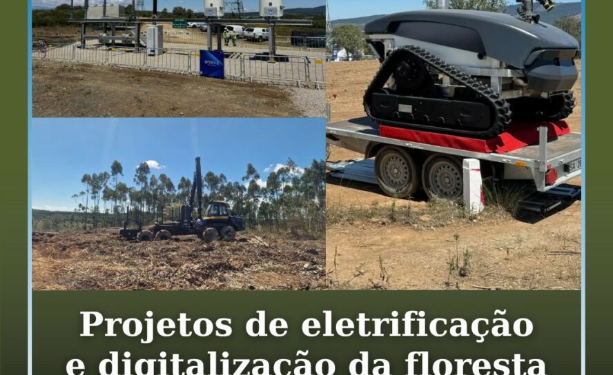 Projetos de eletrificação e digitalização da floresta apresentados em Penamacor