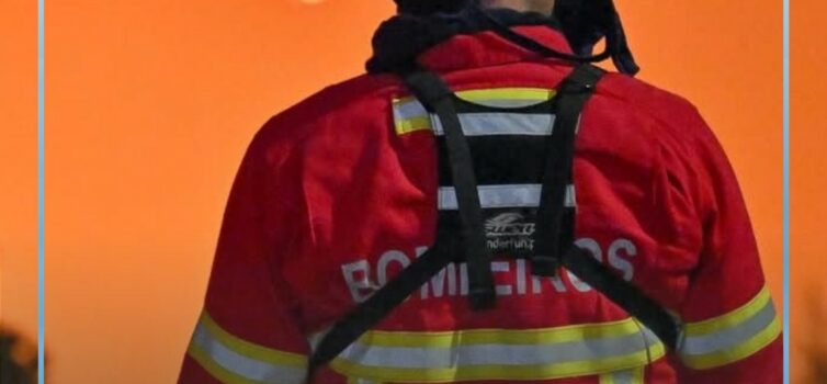 Rui Rocha, secretário de Estado da Proteção Civil garantiu, esta sexta-feira