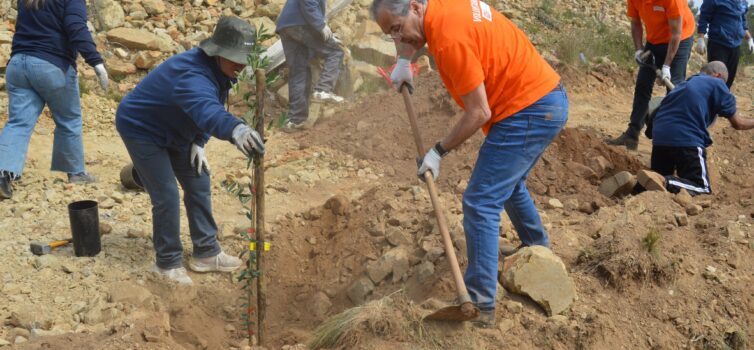 Santa Casa da Misericórdia de Proença-a-Nova acolhe ação de voluntariado ambient