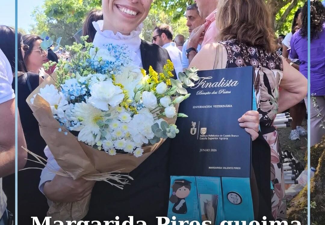 “Para além da Academia”