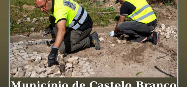 A Câmara Municipal de Castelo Branco vai implementar