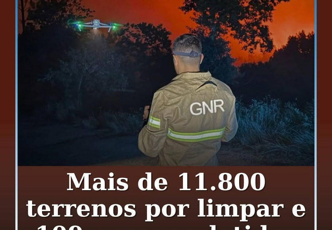 A Guarda Nacional Republicana (GNR) registou, até 30 de maio deste ano
