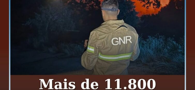 A Guarda Nacional Republicana (GNR) registou, até 30 de maio deste ano