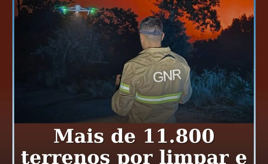 A Guarda Nacional Republicana (GNR) registou, até 30 de maio deste ano