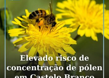 A concentração de pólenes na atmosfera vai manter-se elevada na maioria das regi
