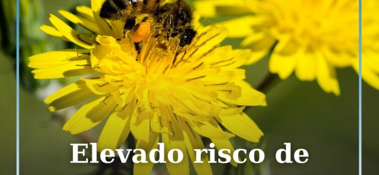 A concentração de pólenes na atmosfera vai manter-se elevada na maioria das regi