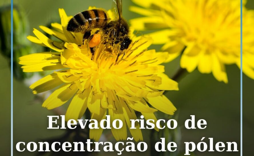A concentração de pólenes na atmosfera vai manter-se elevada na maioria das regi