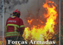 As Forças Armadas vão passar a ter autonomia para intervir no apoio ao combate a