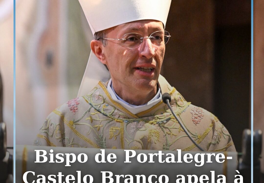 D. Pedro Fernandes, Bispo de Portalegre-Castelo Branco