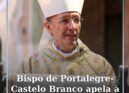 D. Pedro Fernandes, Bispo de Portalegre-Castelo Branco