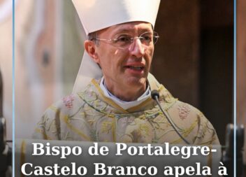 D. Pedro Fernandes, Bispo de Portalegre-Castelo Branco