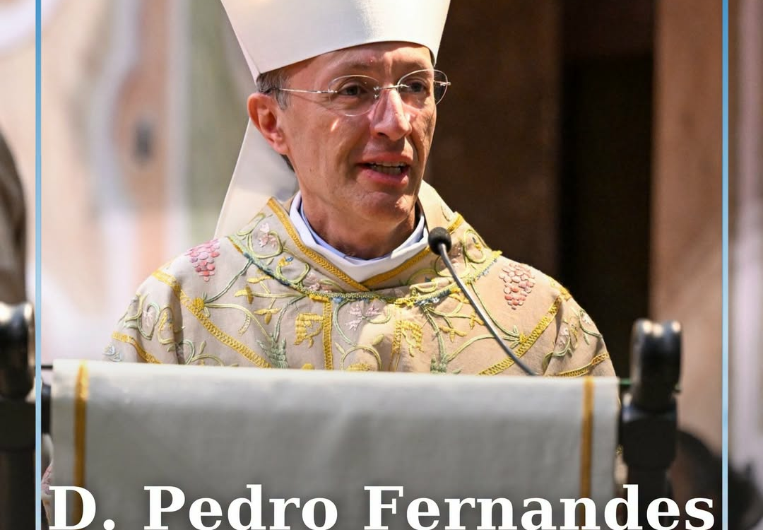 D. Pedro Fernandes preside à Comissão dos Migrantes