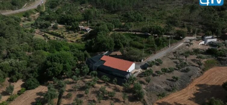EM DIRETO: MISSA DE SANTO ANTÓNIO EM PROENÇA-A-NOVA