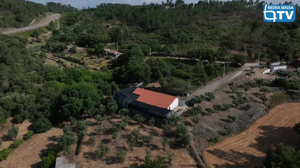 EM DIRETO: MISSA DE SANTO ANTÓNIO EM PROENÇA-A-NOVA