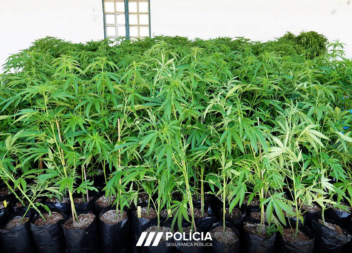 Homem fica em prisão preventiva após apreensão de droga