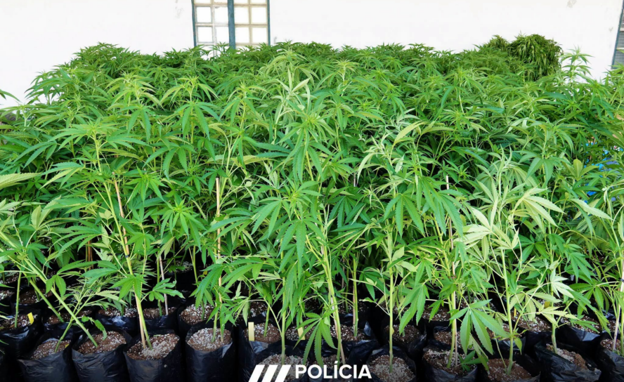 Homem fica em prisão preventiva após apreensão de droga