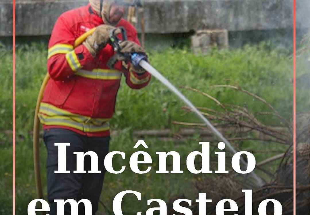 Incêndio em mato no Bairro do Valongo