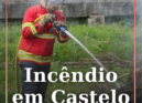 Incêndio em mato no Bairro do Valongo