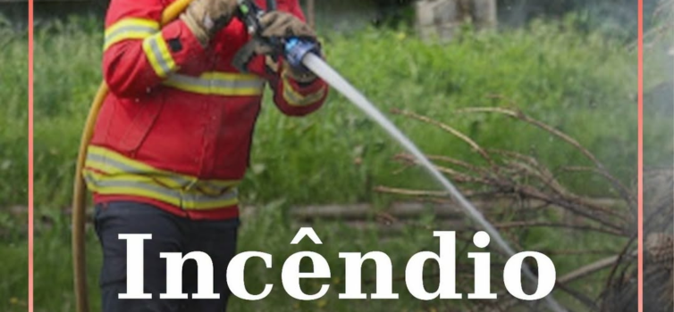 Incêndio em mato no Bairro do Valongo
