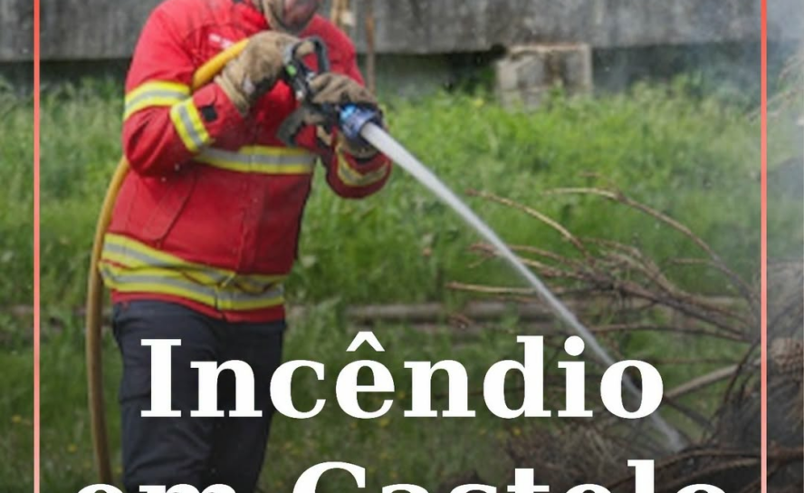 Incêndio em mato no Bairro do Valongo