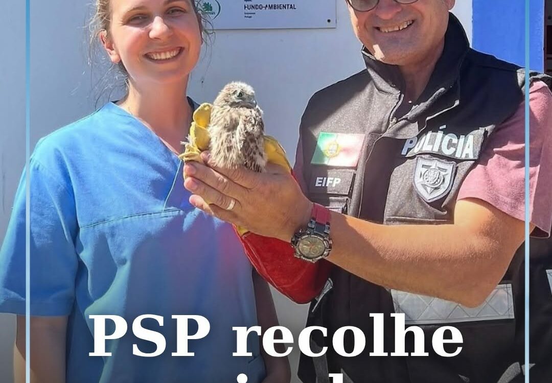 O Comando Distrital da PSP de Castelo Branco