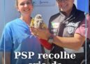 O Comando Distrital da PSP de Castelo Branco