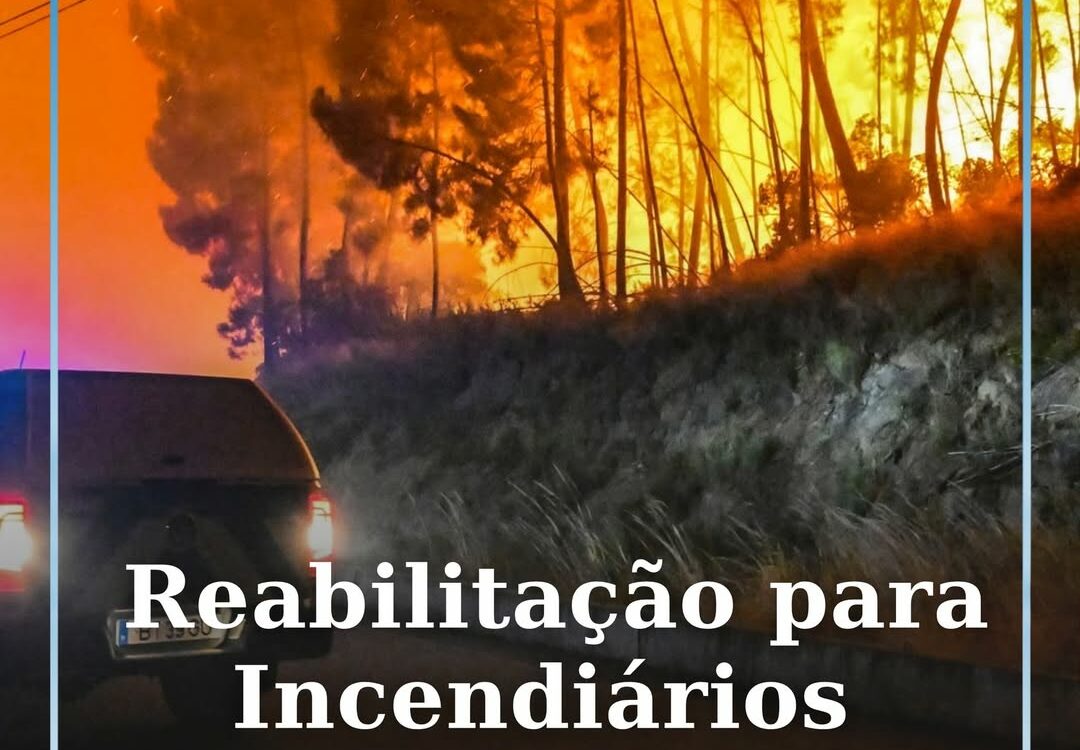 O Programa de Reabilitação para Incendiários, anunciado em 2018