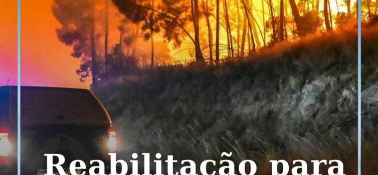 O Programa de Reabilitação para Incendiários, anunciado em 2018