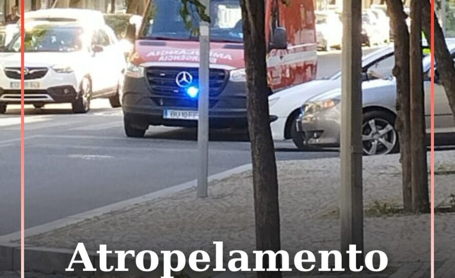 O alerta para um atropelamento na Av. Humberto Delgado, em Castelo Branco