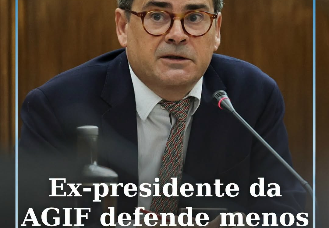 O ex-presidente da Agência para a Gestão Integrada de Fogos Rurais (AGIF)