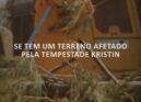 Os proprietários de terrenos florestais afetados pela tempestade Kristin têm até