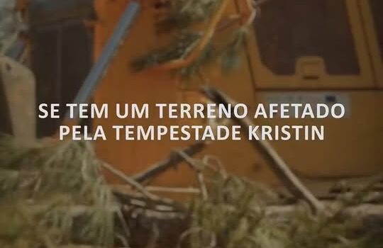 Os proprietários de terrenos florestais afetados pela tempestade Kristin têm até